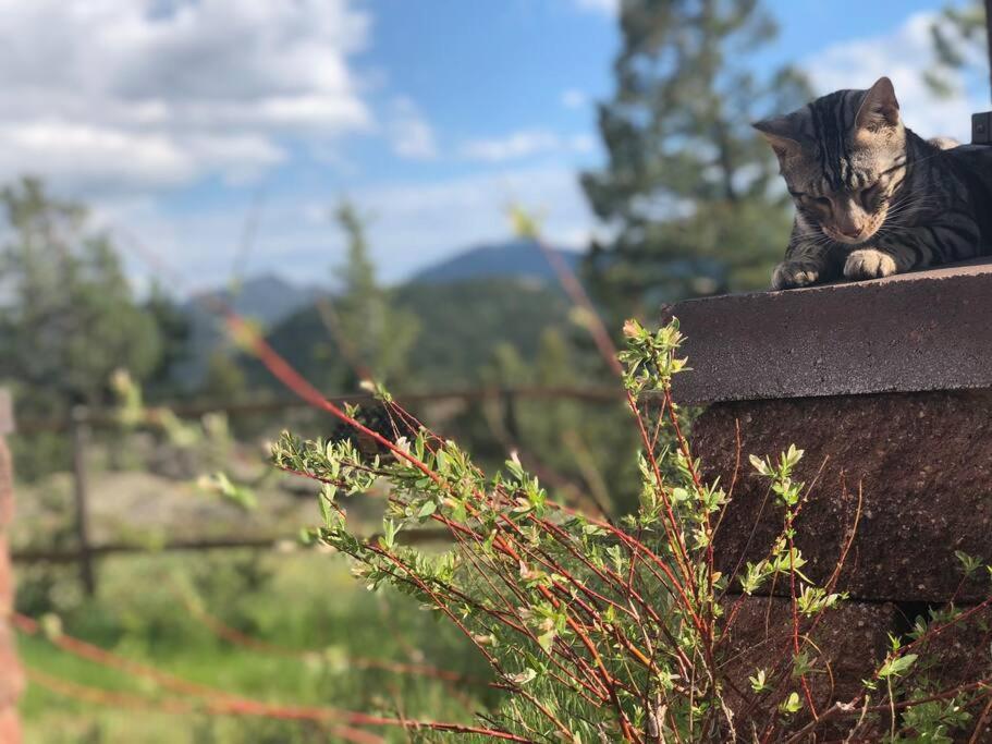 Boulder Best City And Nature With Lake And Trails Pets Ok エクステリア 写真